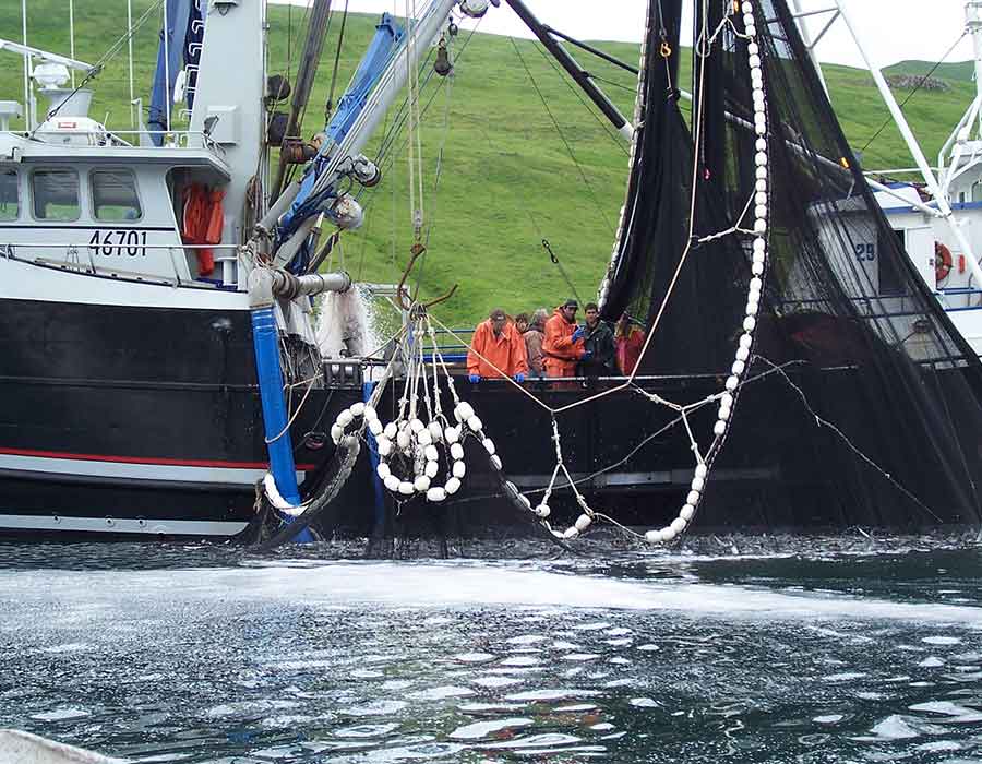 fishing,wire,farming,lifting,rope,Commercial Fishing *10 ton trawl block 