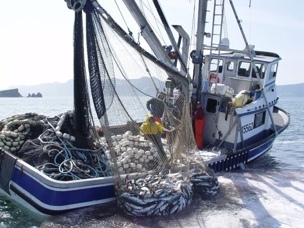 product commercial fishing