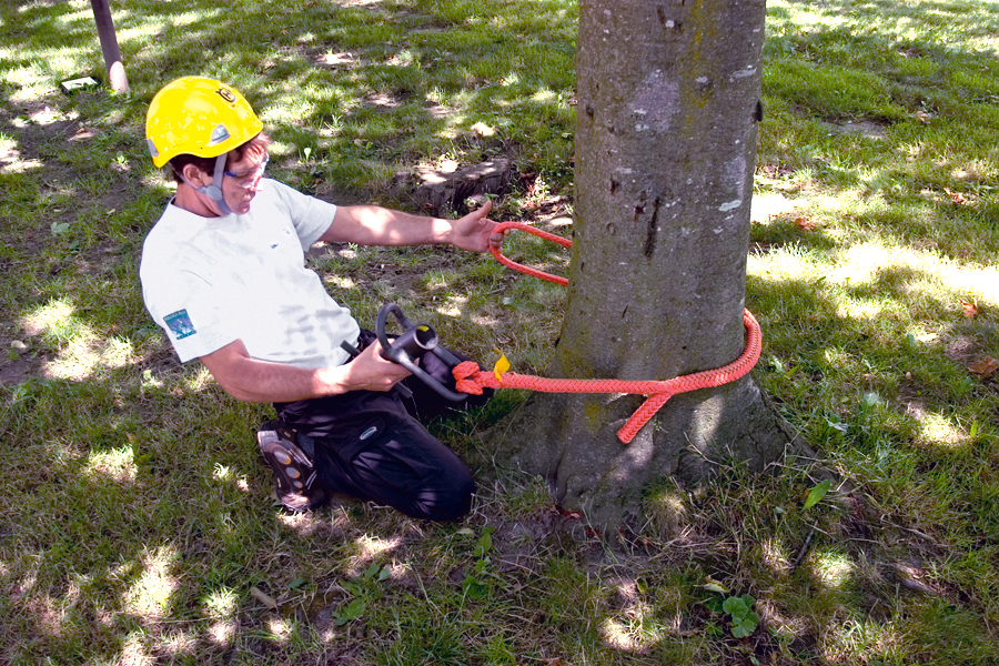 Arborist Sling