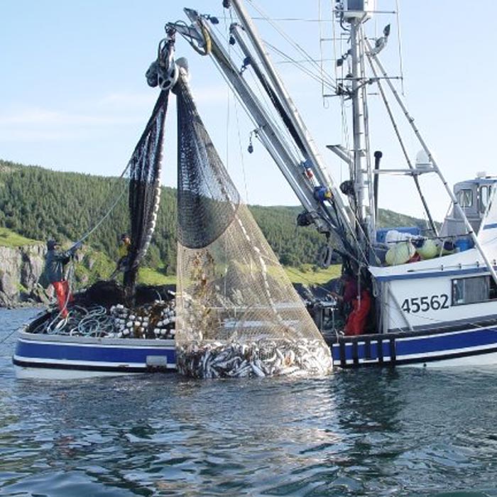 Commercial Fishing