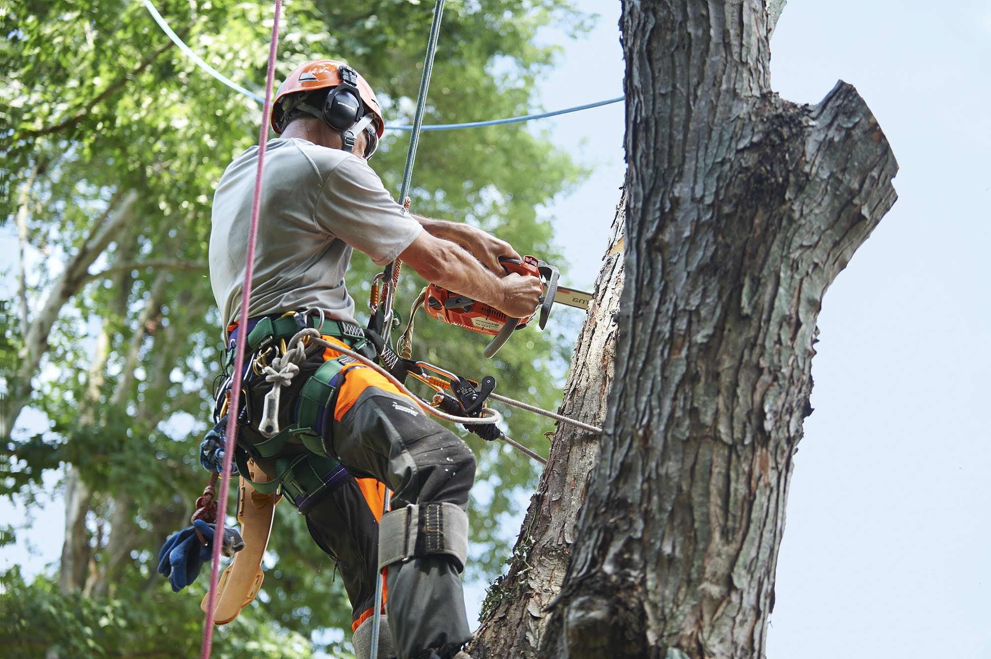 Arborist - Samson Rope