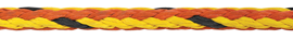 Image-PROSPECTOR®100